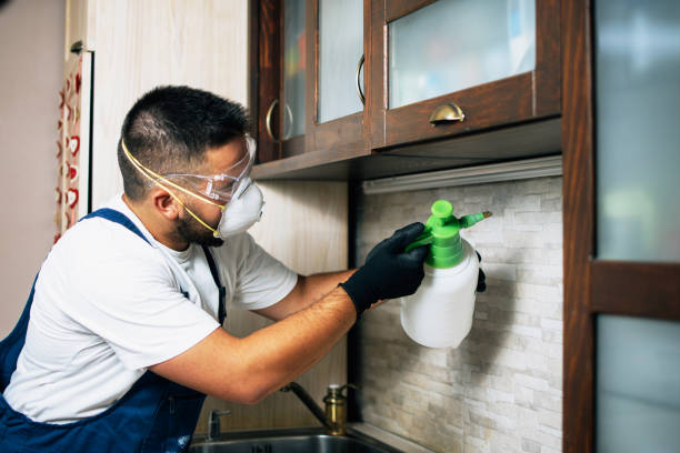 Best Bed Bug Extermination  in Head Of The Harbor, NY