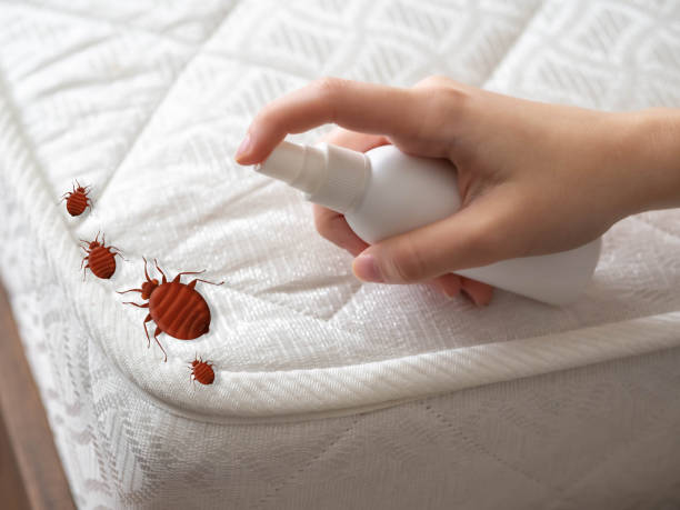 Best Residential Pest Control  in Head Of The Harbor, NY